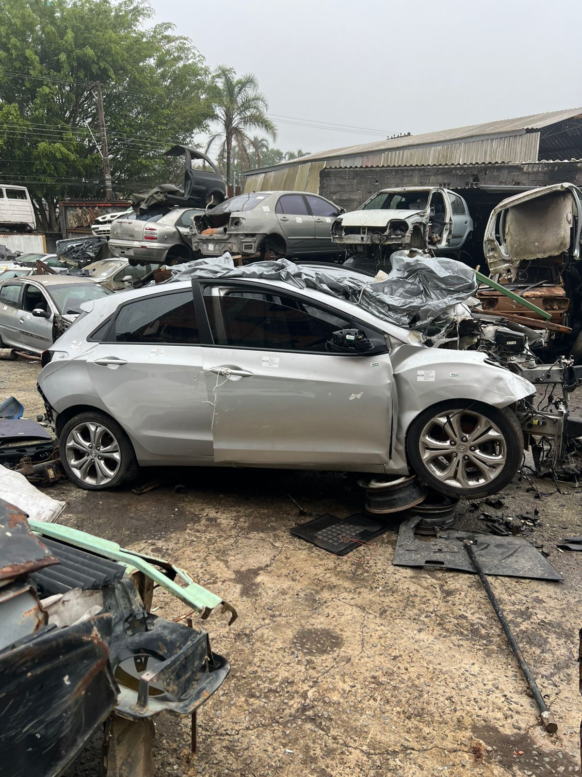 Volkswagen Golf 2019